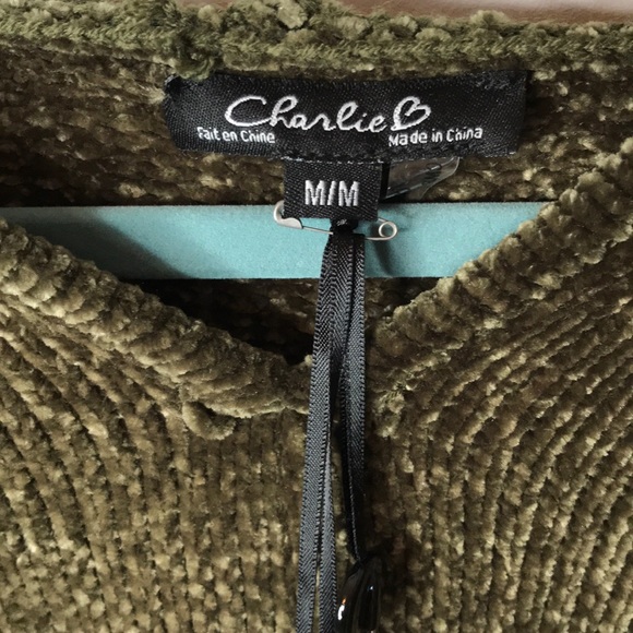 Green Olive Charlie B Hooded Sweater Size M NWT - Picture 2 of 4